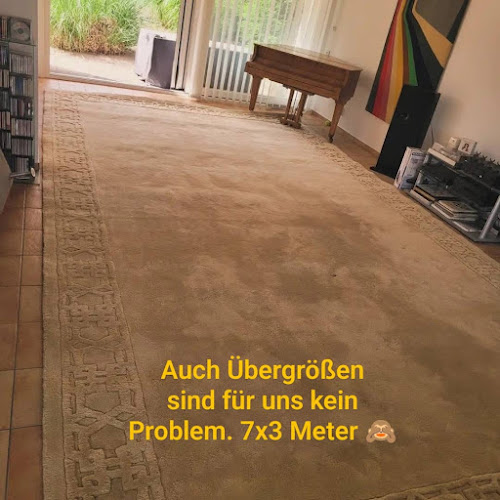 Teppichreinigung Tonollo Bad Kreuznach, Alzeyer Straße 81