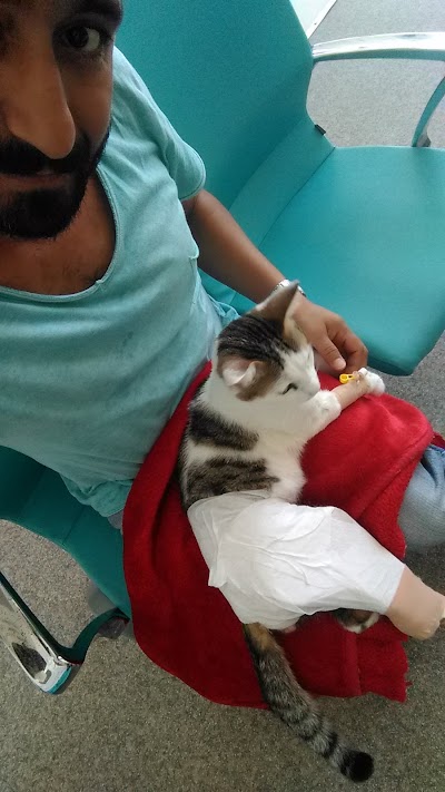 veterinary-care