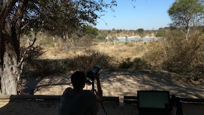 Photos of Kgori Safaris