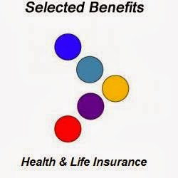 Selected Benefits - Visual