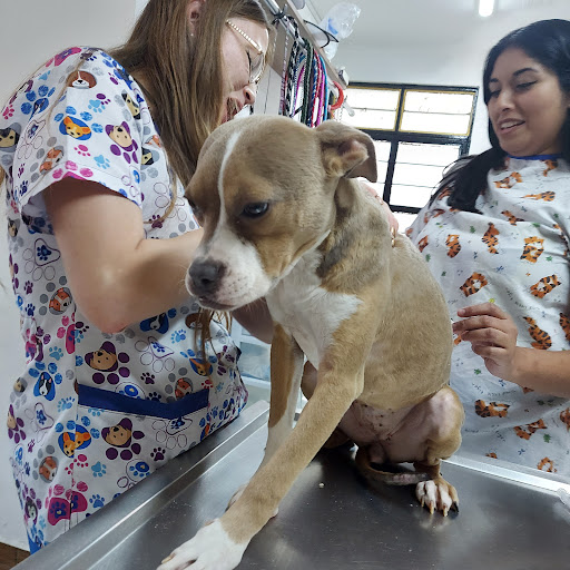 Centro Medico Veterinario