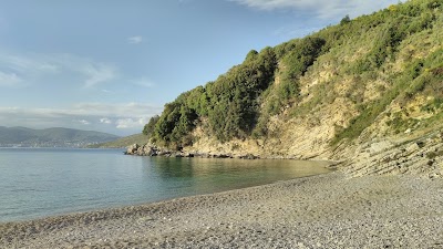 Monastery Beach