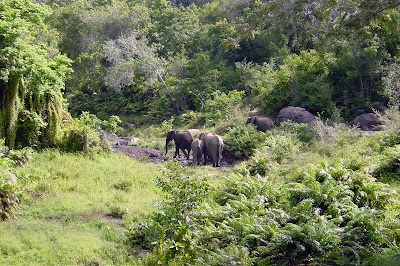 Photos of Shimba Hills National Reserve