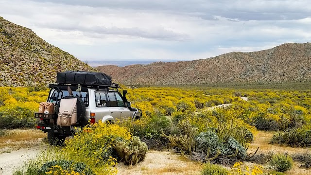 Anza-Borrego Desert State Park