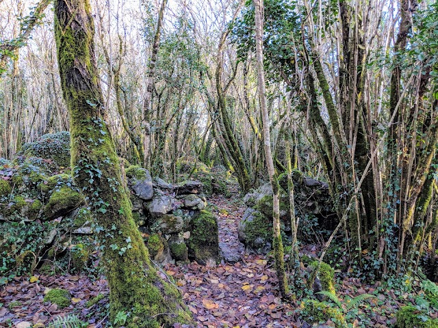 The Burren