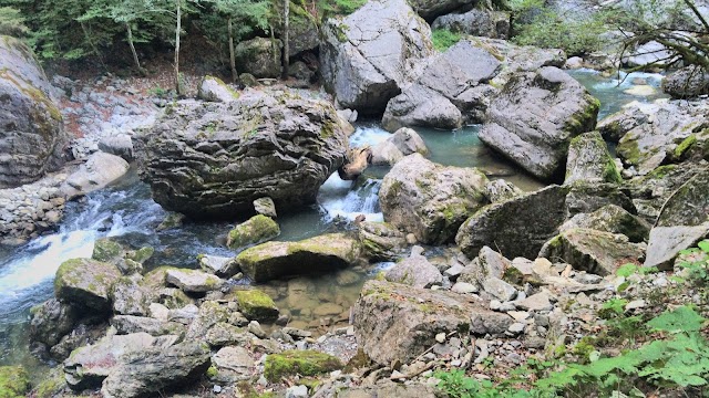 Gorges de la Jogne