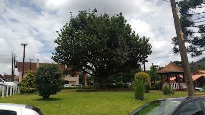 Photos of 1020/MONTE VERDE