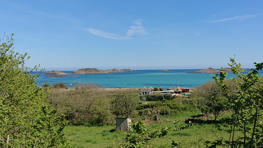 Scilly Seal Snorkelling - Thumbnail