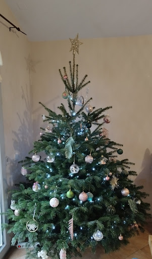 L'Aiguille Bio : Sapin de Noel, Auvergne, Puy de Dome, 63