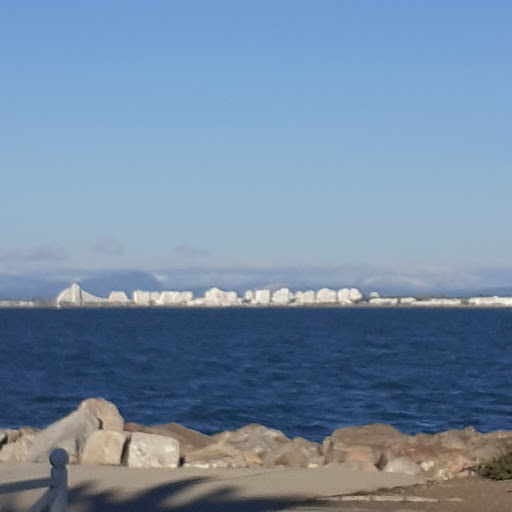 GOLFE DE L'HOMME-OISEAU (RDV des beaux yachts à Port Camargue) - Thumbnail