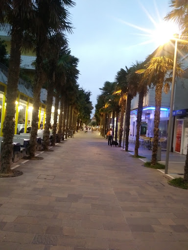 Agenzia Laguna