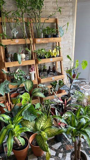 Almacén de Raíces - Foto 1