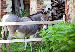 Photo n°36 de Château des Lutz à Daon (Chambre d'hôtes)