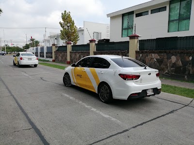 taxi-stand