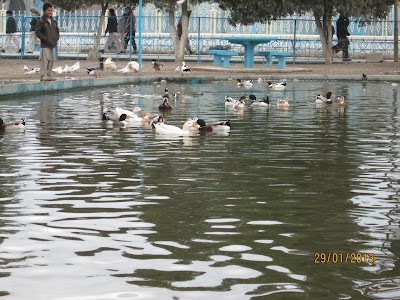 Photos of Rawza e Mubarak Museum