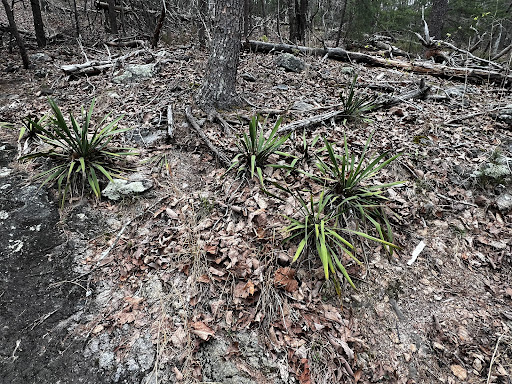 Indian Seats Viewing Deck - Thumbnail