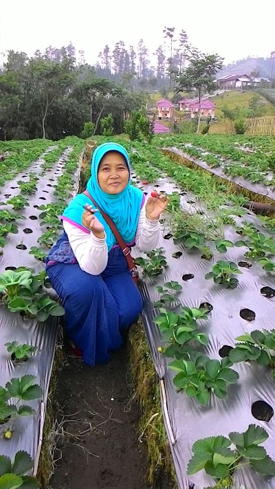 Photos of SMP Negeri 1 Mrebet