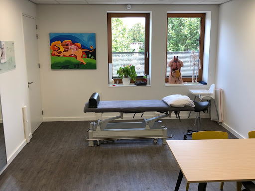 Fysiotherapie Lindenheuvel - Thumbnail