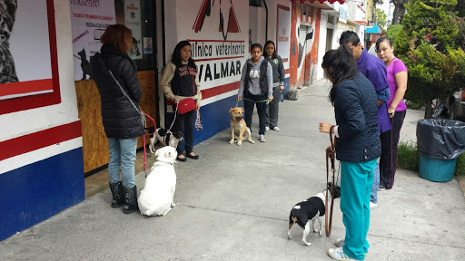 Clínica Veterinaria Valmar