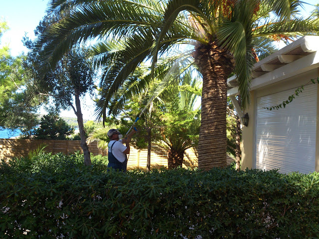 Green Guardia - Αλλος