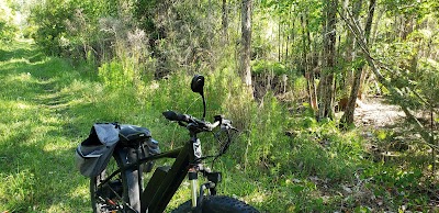 Santa Fe Swamp Conservation Area