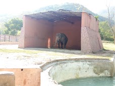 Islamabad Zoo rawalpindi