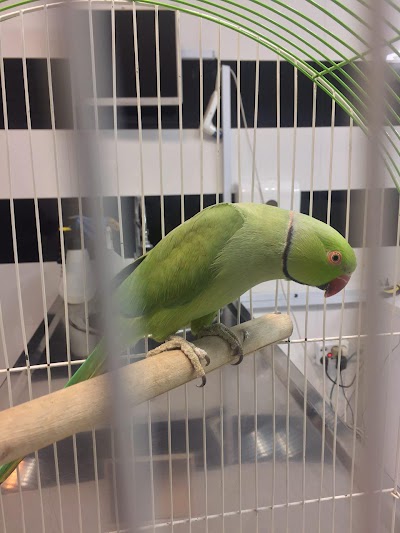Photos of Nikan Pet Hospital