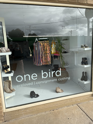 one bird - Visual