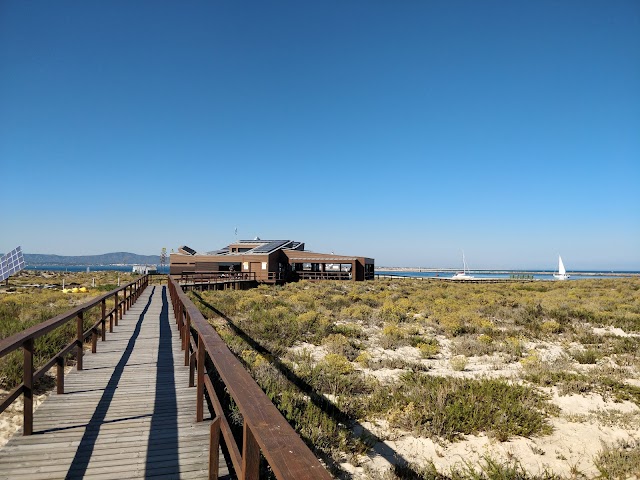Barreta Island