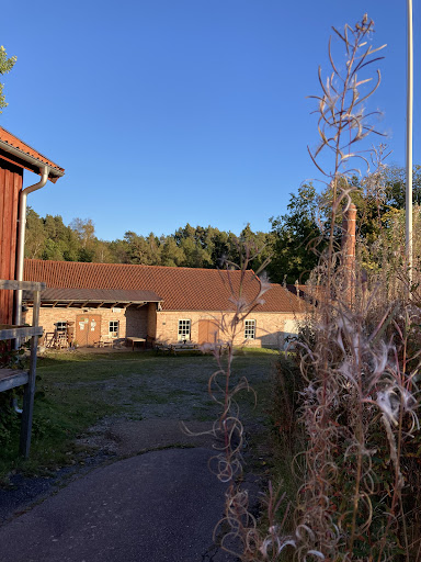 Friskvårdsyoga - Thumbnail