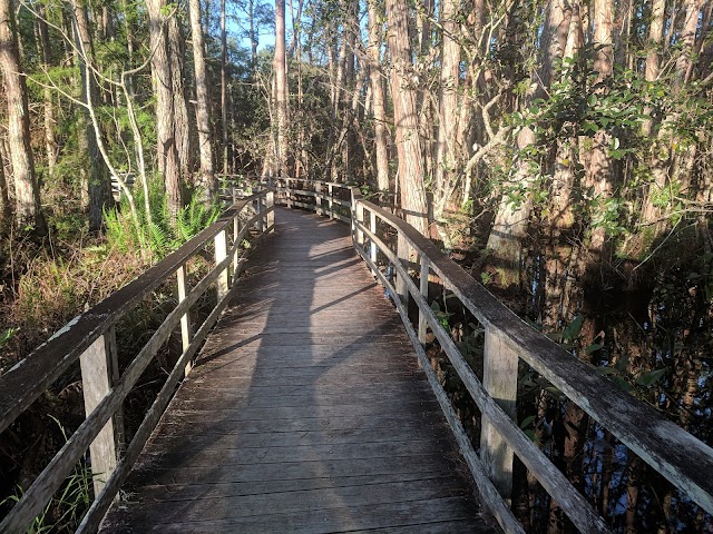 Corkscrew Swamp Sanctuary