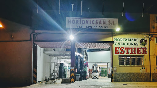 Verduras Y Hortalizas Hortovicsan