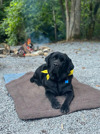 Devils Fork Campground - Visual