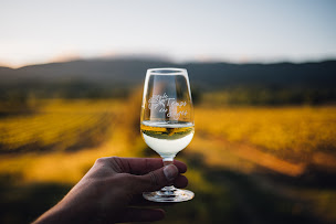 Photo n°3 de Le Temps Des Sages à Cabrières-d'Aigues (Cave à vins)
