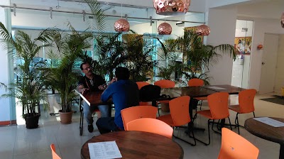 Photos of ZXY International