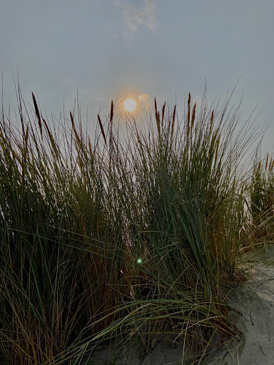 Stichting Dorpshuis "De Wielewaal" - Thumbnail