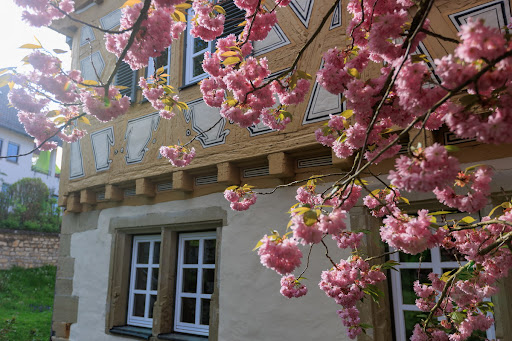 Schloss Deufringen - Thumbnail