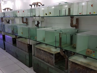 Photos of Ecotop Aqu&aacute;rios