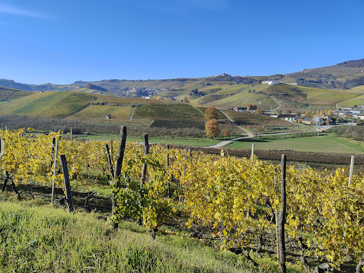 Cascina Pugnane Wine Resort - Thumbnail