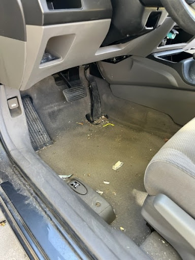 Mobile Pro Detailing - Visual