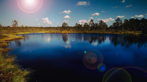 Oandu-Võsu matkarada