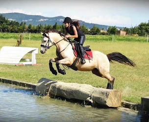 Photo n°15 de Les écuries de la plaine à Clansayes (Centre équestre)