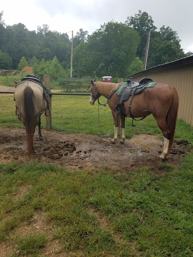 Calico Junction New Beginnings Ranch, Inc. - Thumbnail