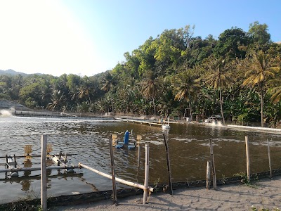 Photos of Omahe Winahyu Resort