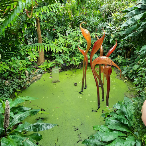 Climatron - Thumbnail