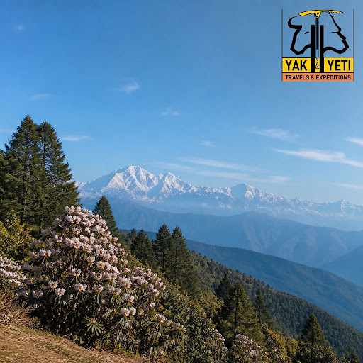Looking for a quiet escape in the mountains? Ravangla in South Sikkim is the perfect retreat for… post image