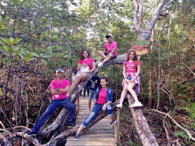 Photos of Mangrove Munjang Kurau Barat