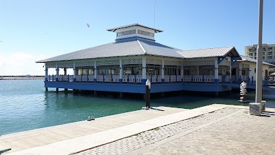 Photos of Catamarans