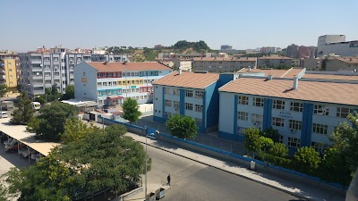 Culture Secondary School
