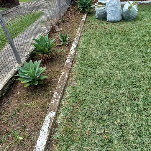 Deep Cleaning Solutions (NSW) - Thumbnail